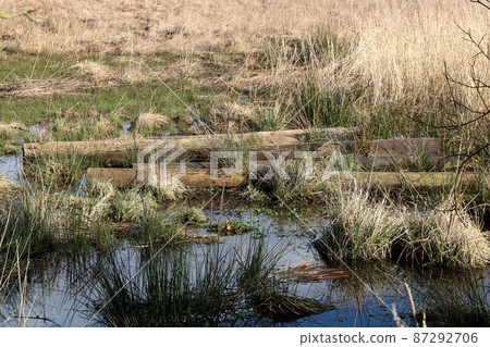 Tree Trunk Posts Lying in a Water Logged Field 87292706