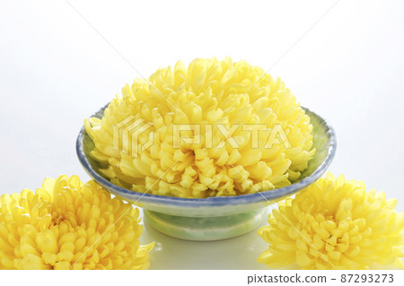食用菊花 87293273