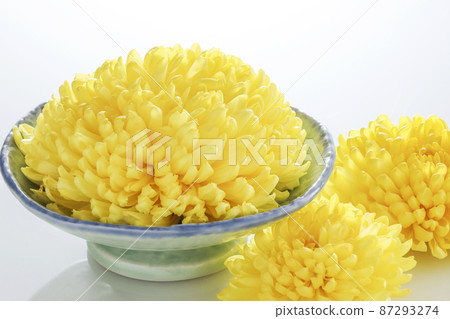 edible chrysanthemum edible chrysanthemum 87293274