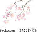 盛開的垂枝櫻花插畫 87295408