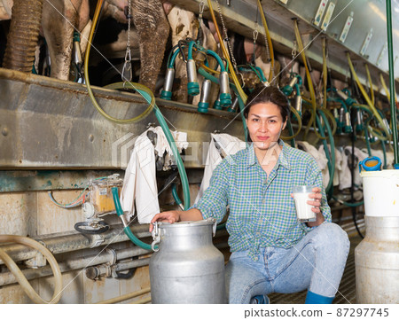 Portrait of a asian farmer woman squatting near a milking machine, with a glass of milk 87297745