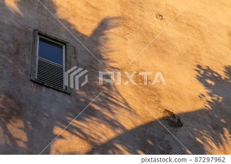 Shadows of palm trees over old yellow wall Shadows of palm trees over old yellow wall 87297962