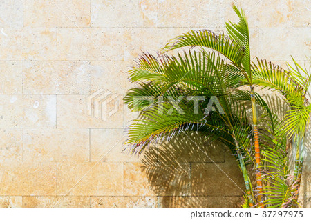 Yellow stone wall and palm trees, abstract background Yellow stone wall and palm trees, abstract background 87297975
