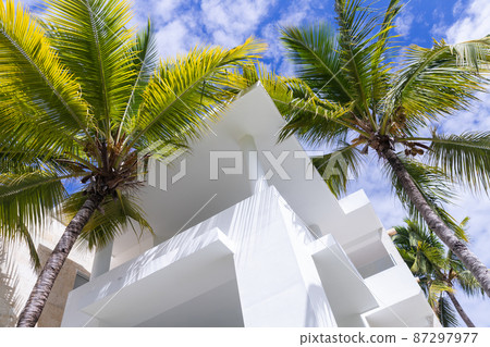 Abstract architectural background with house and palms 87297977