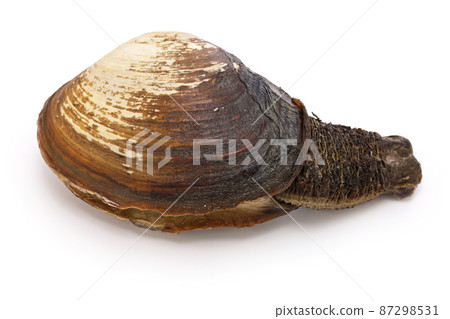 This mill shell 87298531