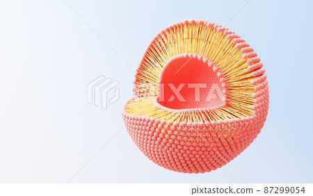 3d render cell membrane Phospholipid Bilayer. Layers of molecules. Gene expression. nucleotide database. Fluid mosaic model for education. Human gene. Plasma membrane structures. 3d render cell membrane Phospholipid Bilayer. Layers of molecules. Gene expression. nucleotide database. Fluid mosaic model for education. Human gene. Plasma membrane structures. 87299054