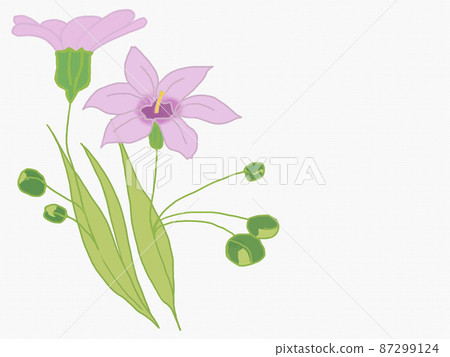 可用的野花 Sisyrinchium 紋理副本空間 87299124