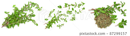 Oregano or marjoram leaves fresh and dry isolated on white background. Top view. Flat lay. Set or collection Oregano or marjoram leaves fresh and dry isolated on white background. Top view. Flat lay. Set or collection 87299157