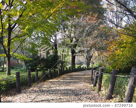北丸公園人行道 北丸公園人行道 87299710
