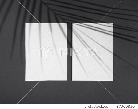 light black background with white blanks paper ficus leaf shadow 87300830
