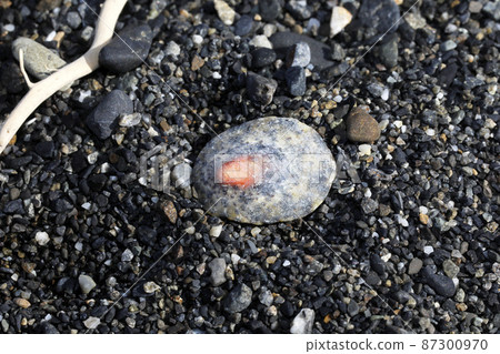 Flotsam Becko Gasa Becko Zara Flotsam Becko Gasa Becko Zara 87300970