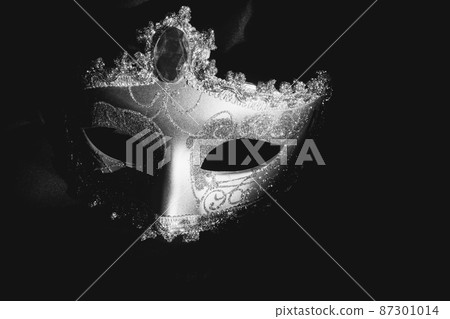 gray venetian mask dark background 87301014