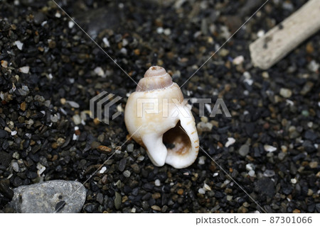 Flotsam Yoffbai Flotsam Yoffbai 87301066