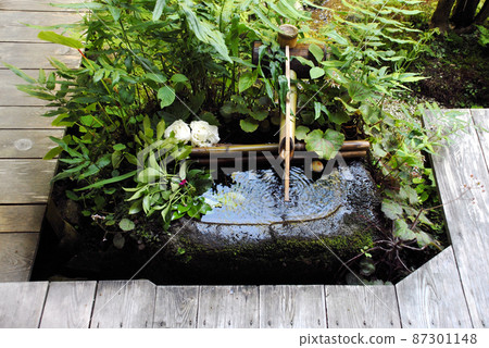 Fresh green Sanzen-in garden chozubachi Ohara, Sakyo-ku, Kyoto Fresh green Sanzen-in garden chozubachi Ohara, Sakyo-ku, Kyoto 87301148