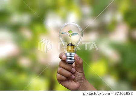Tree growing on coins in energy-saving lamps and green blurred nature background.Financial concept. Energy-saving and environmental protection 87301927