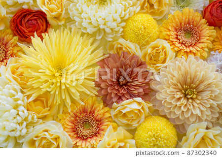 菊科花。以黃色為基礎的插花。 87302340