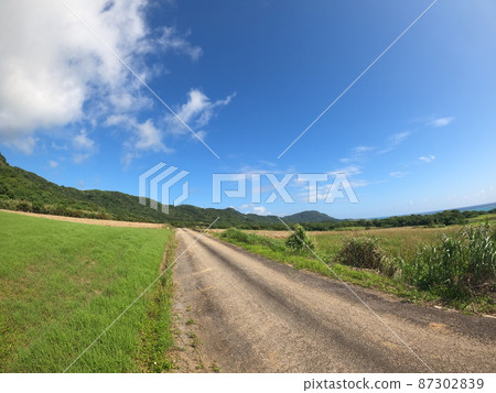 Pasture and 1pondo 87302839