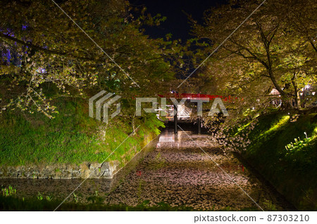 Cherry blossoms on the river Cherry blossoms on the river 87303210