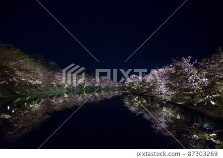 夜晚的櫻花 87303269