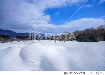 A winter scene with a lot of snow on the Makino Plateau @ Shiga A winter scene with a lot of snow on the Makino Plateau @ Shiga 87303578