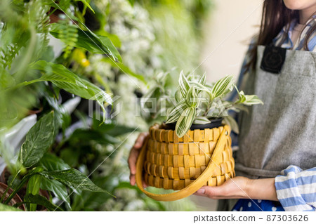 Smiling woman gardener near vertical greenery phytomodul holding tradescantia in straw basket box Smiling woman gardener near vertical greenery phytomodul holding tradescantia in straw basket box 87303626
