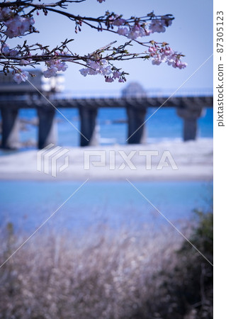 JR Kyushu Local Line Nichinan Line, which runs through Sanno, Nichinan City, Miyazaki Prefecture JR Kyushu Local Line Nichinan Line, which runs through Sanno, Nichinan City, Miyazaki Prefecture 87305123