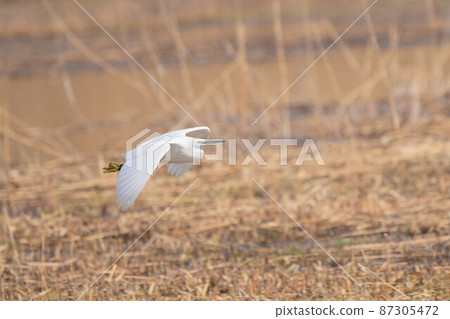Heron Heron 87305472