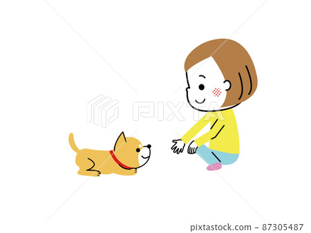 Shiba Inu playing with a girl Shiba Inu playing with a girl 87305487