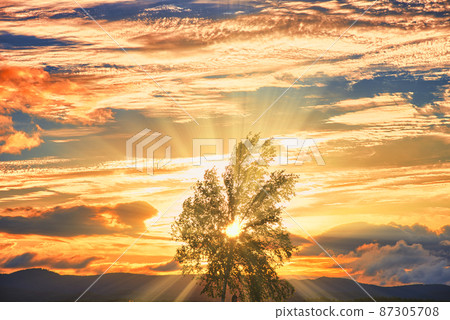Beautiful rural scenery of the hill town Biei Beautiful rural scenery of the hill town Biei 87305708