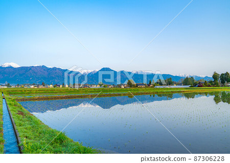 初夏安曇野的稻田和水鏡【長野縣】 初夏安曇野的稻田和水鏡【長野縣】 87306228