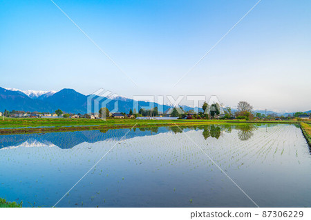 初夏安曇野的稻田和水鏡【長野縣】 初夏安曇野的稻田和水鏡【長野縣】 87306229