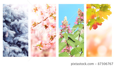 Four seasons of year. Set of vertical nature banners with winter, spring, summer and autumn scenes 87306767