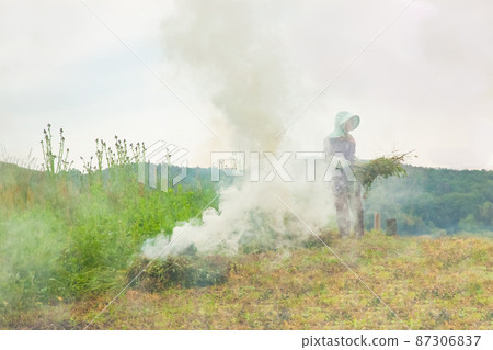 是上城下城的野陶風光。你可以看到一個人影和一株野薊在煙霧繚繞的田野里工作。廣島 87306837