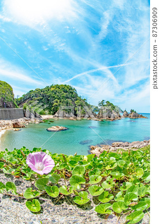 Iwami Blue Uradome Coast Iwami Blue Uradome Coast 87306909