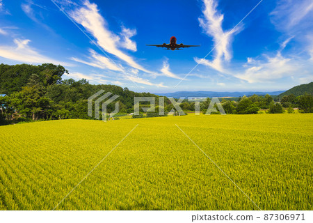 山城美瑛的美麗鄉村風光 87306971