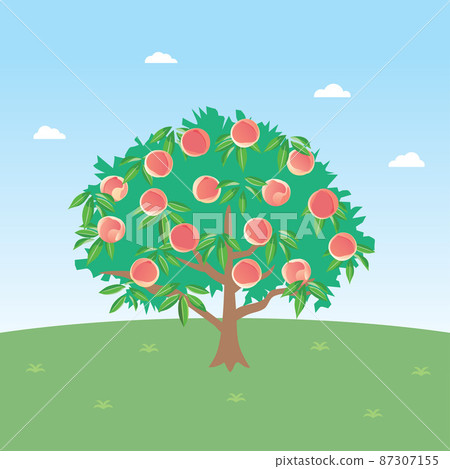 Landscape with peach trees 87307155