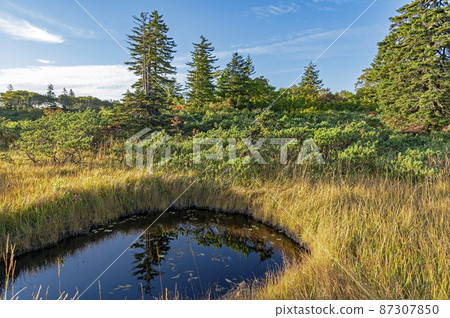 Shinsennuma Niseko Autumn Hokkaido 87307850