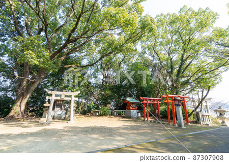 《福岡縣》飯塚市小袋古諾美神社 87307908