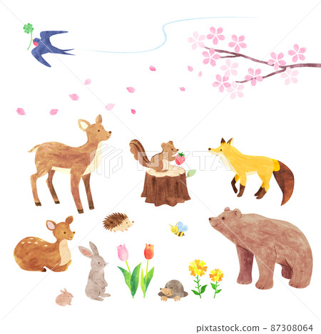 Hand-painted watercolor style illustration set of cute animals in the forest Hand-painted watercolor style illustration set of cute animals in the forest 87308064