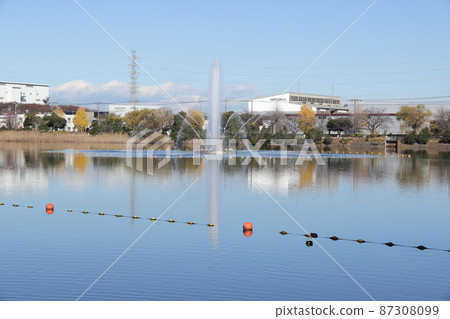 Scenery of Kukishobu Park Showa-numa in Kuki City, Saitama Prefecture 87308099