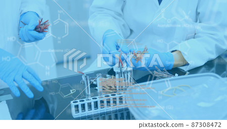 Molecular structure against scientists working in laboratory Molecular structure against scientists working in laboratory 87308472