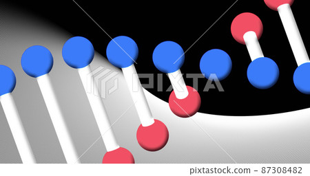 Image of dna strand spinning on black and white background Image of dna strand spinning on black and white background 87308482