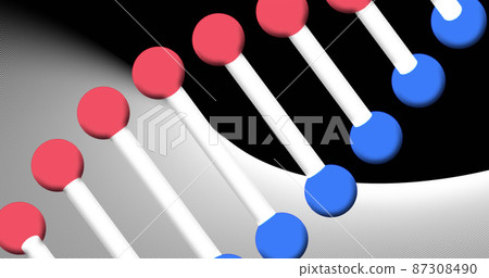 Image of dna strand spinning on black and white background Image of dna strand spinning on black and white background 87308490