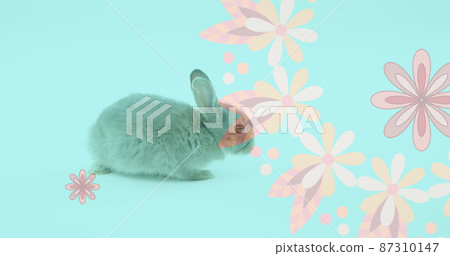 Image of pink flowers spinning with easter bunny over blue background 87310147