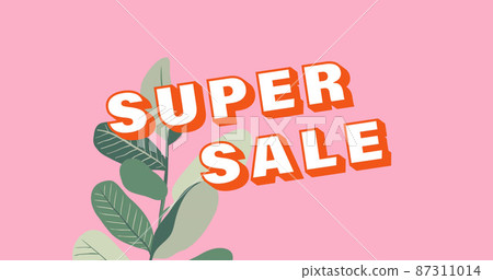 Image of super sale text over flowers on pink background Image of super sale text over flowers on pink background 87311014