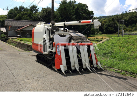 水稻梯田 87312649