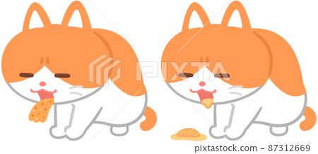 Cats that vomit and cats that vomit hairballs 87312669