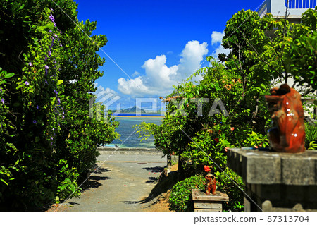 The beautiful sea of Bise, Motobu Town, northern part of the main island of Okinawa 87313704