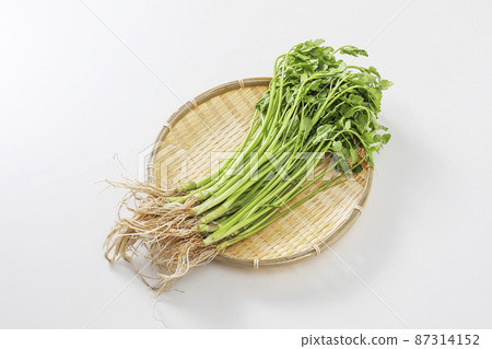 仙台拍賣 仙台拍賣 87314152