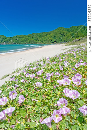 石見藍色浦富海岸 石見藍色浦富海岸 87314282